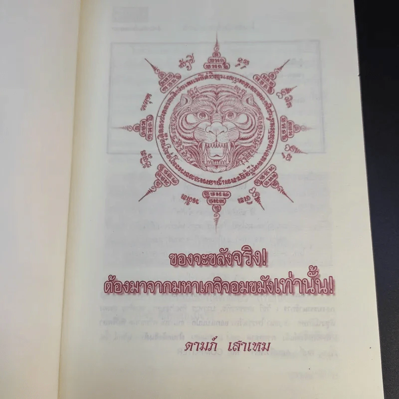 ตำนานเกจิดัง ของขลังพลังพุทธคุณ - ดามภ์ เสาเหม รูปที่ 8
