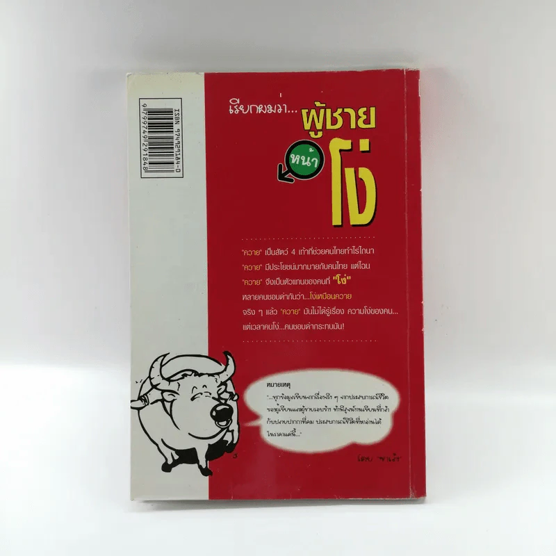 เรียกผมว่าผู้ชายหน้าโง่ รูปที่ 12