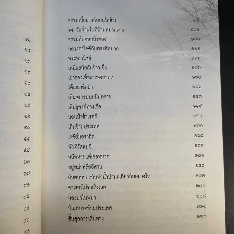 เจออะไรบางอย่างระหว่างเดินธุดงค์ - ภาณีพัฒน์ รูปที่ 15