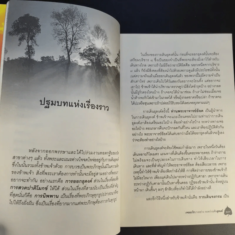 เจออะไรบางอย่างระหว่างเดินธุดงค์ - ภาณีพัฒน์ รูปที่ 16