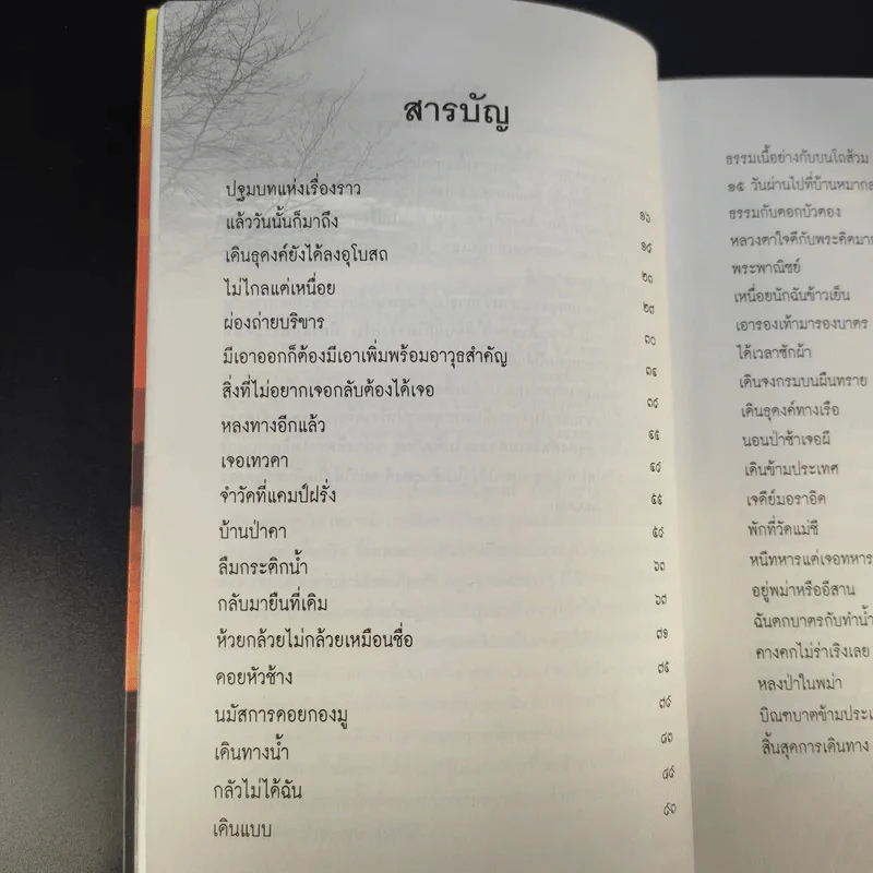 เจออะไรบางอย่างระหว่างเดินธุดงค์ - ภาณีพัฒน์ รูปที่ 14