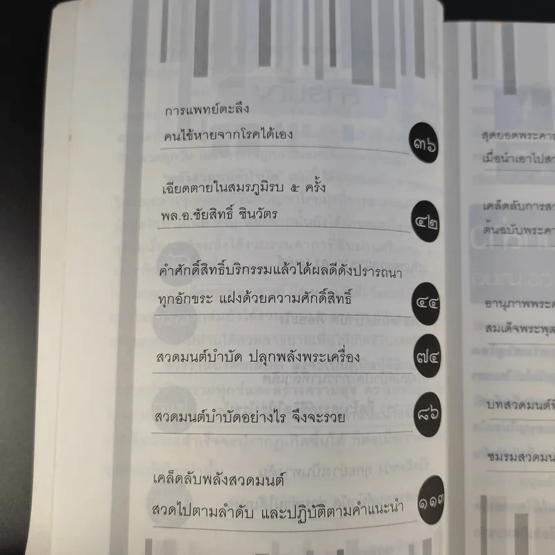 พลังสวดมนต์บำบัด Pray Therapy - ดร.มายด์ รูปที่ 11