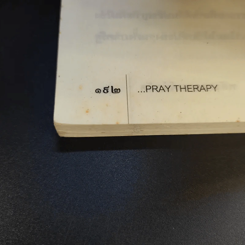 พลังสวดมนต์บำบัด Pray Therapy - ดร.มายด์ รูปที่ 15