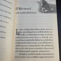 มหัศจรรย์กำลังใจในชีวิตประจำวัน Something Wonderful - Robin L. Silverman รูปที่ 14