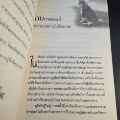 มหัศจรรย์กำลังใจในชีวิตประจำวัน Something Wonderful - Robin L. Silverman รูปที่ 14
