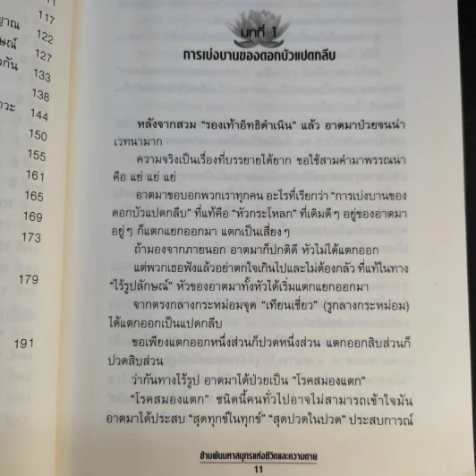 ข้ามพ้นมหาสมุทรแห่งชีวิตและความตาย - พระพุทธาจารย์เหลียนเซิน หลูเซิ่งเยี่ยน รูปที่ 15