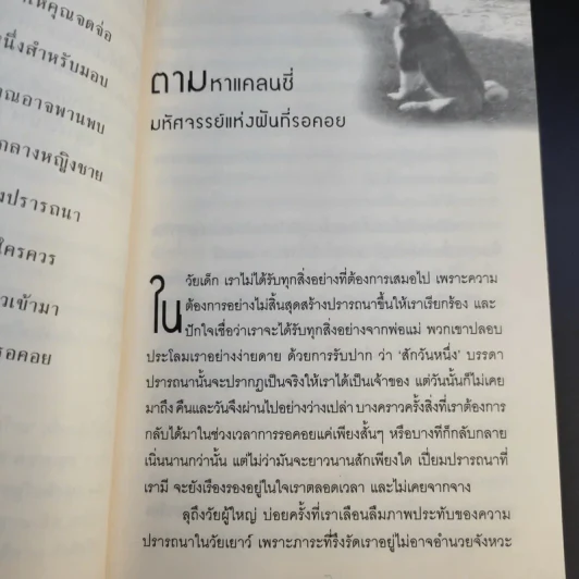 มหัศจรรย์กำลังใจในชีวิตประจำวัน Something Wonderful - Robin L. Silverman รูปที่ 14