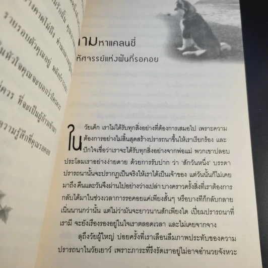มหัศจรรย์กำลังใจในชีวิตประจำวัน Something Wonderful - Robin L. Silverman รูปที่ 14
