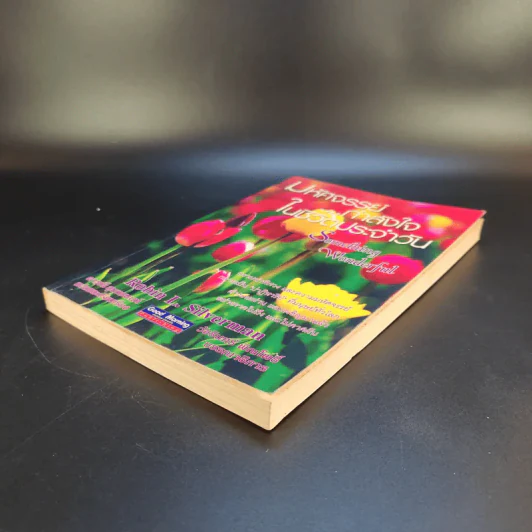 มหัศจรรย์กำลังใจในชีวิตประจำวัน Something Wonderful - Robin L. Silverman รูปที่ 7