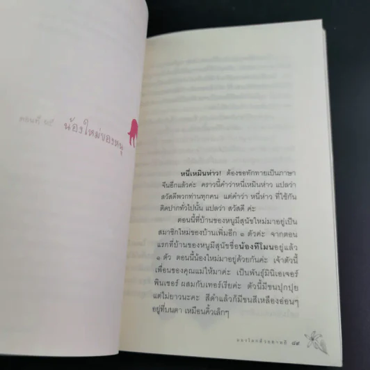 มองโลกด้วยดาหยี - ด.ญ.น้ำภูฟ้า เพชรแก้ว รูปที่ 13