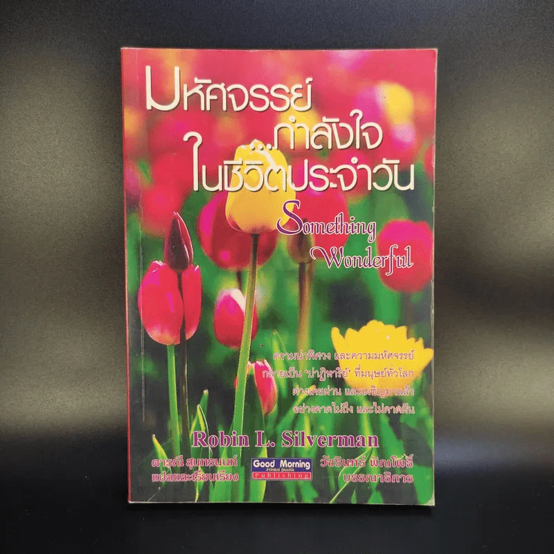 มหัศจรรย์กำลังใจในชีวิตประจำวัน Something Wonderful - Robin L. Silverman รูปที่ 1