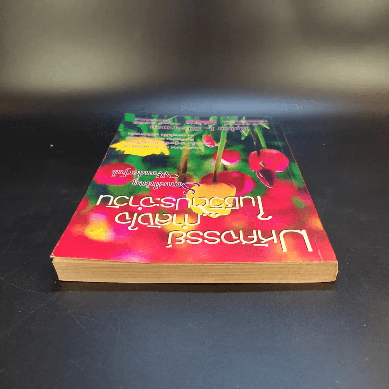 มหัศจรรย์กำลังใจในชีวิตประจำวัน Something Wonderful - Robin L. Silverman รูปที่ 6