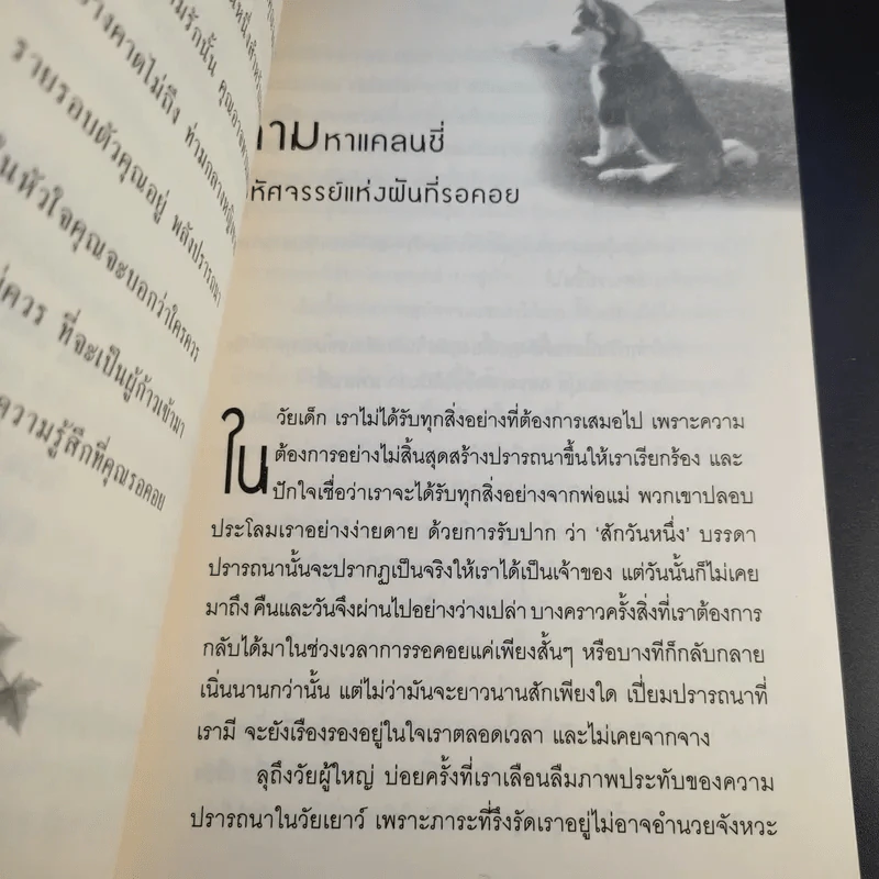 มหัศจรรย์กำลังใจในชีวิตประจำวัน Something Wonderful - Robin L. Silverman รูปที่ 14