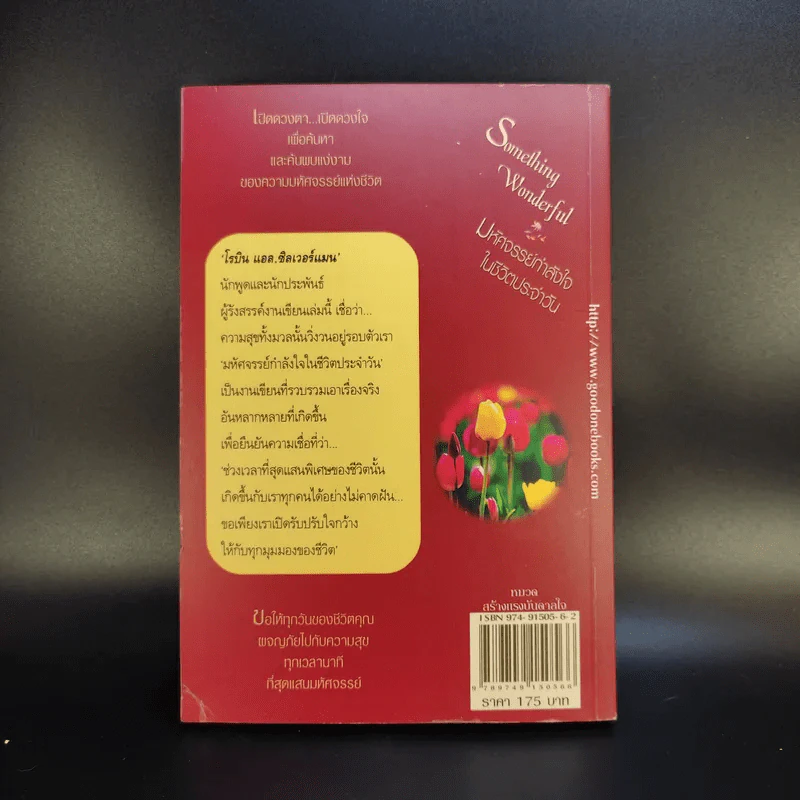 มหัศจรรย์กำลังใจในชีวิตประจำวัน Something Wonderful - Robin L. Silverman รูปที่ 2