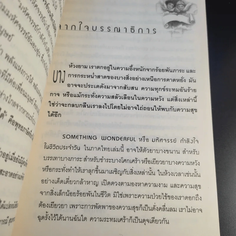 มหัศจรรย์กำลังใจในชีวิตประจำวัน Something Wonderful - Robin L. Silverman รูปที่ 12