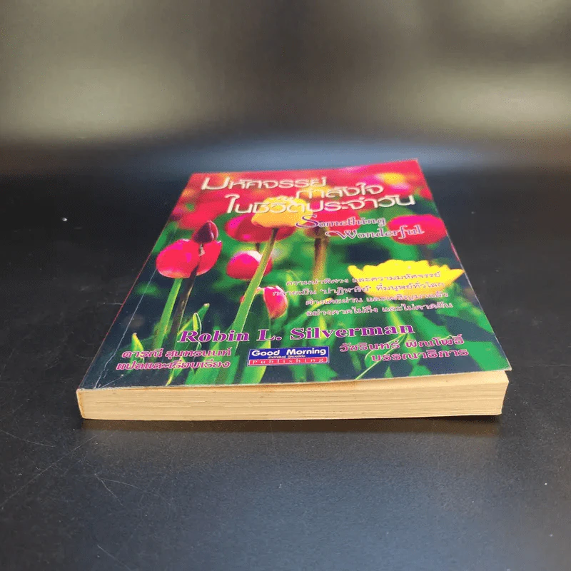 มหัศจรรย์กำลังใจในชีวิตประจำวัน Something Wonderful - Robin L. Silverman รูปที่ 4