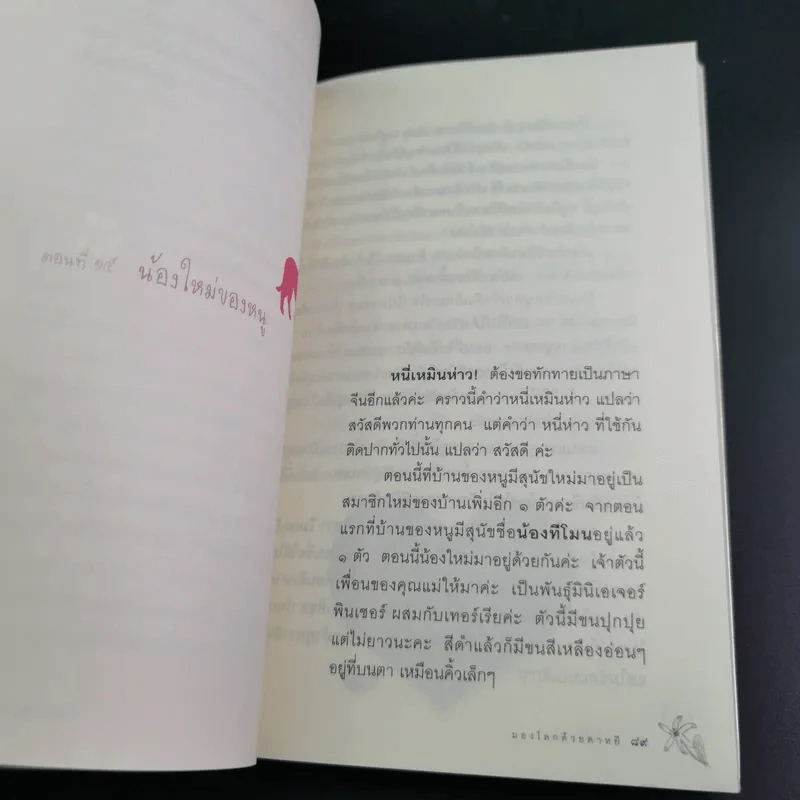 มองโลกด้วยดาหยี - ด.ญ.น้ำภูฟ้า เพชรแก้ว รูปที่ 13