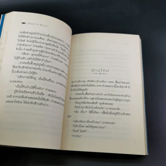 ช่างสำราญ - เดือนวาด พิมวนา รูปที่ 10