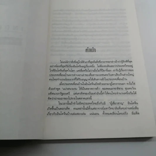 Indochina Review อินโดจีนในกระแสปริวรรตเศรษฐกิจการเมือง รูปที่ 10