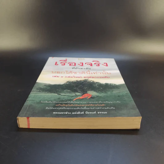 เรื่องจริงที่ยังสงสัย บอกได้ชาตินี้เท่านั้น เล่ม 4 (เล่มใหม่) อกุศลกรรมดับ - พระมหาช่วง แห่งธิงค์ บียอนด์ ธรรมะ รูปที่ 4