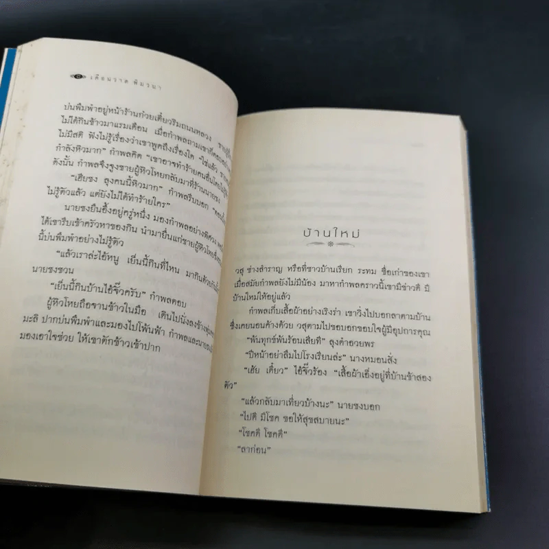 ช่างสำราญ - เดือนวาด พิมวนา รูปที่ 10