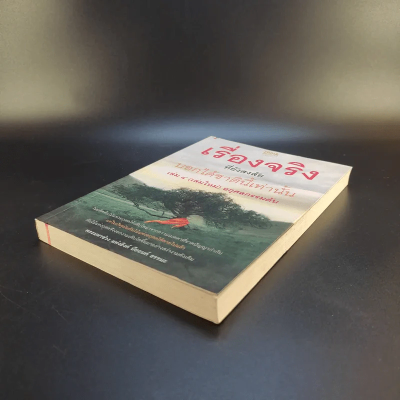 เรื่องจริงที่ยังสงสัย บอกได้ชาตินี้เท่านั้น เล่ม 4 (เล่มใหม่) อกุศลกรรมดับ - พระมหาช่วง แห่งธิงค์ บียอนด์ ธรรมะ รูปที่ 7