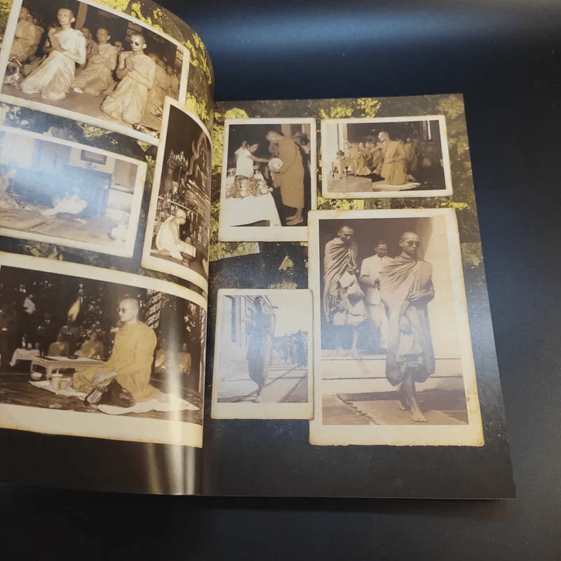 พ่อหลวงพ่อของแผ่นดิน รูปที่ 10
