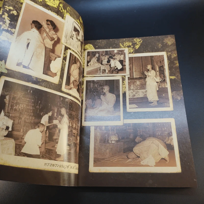 พ่อหลวงพ่อของแผ่นดิน รูปที่ 9