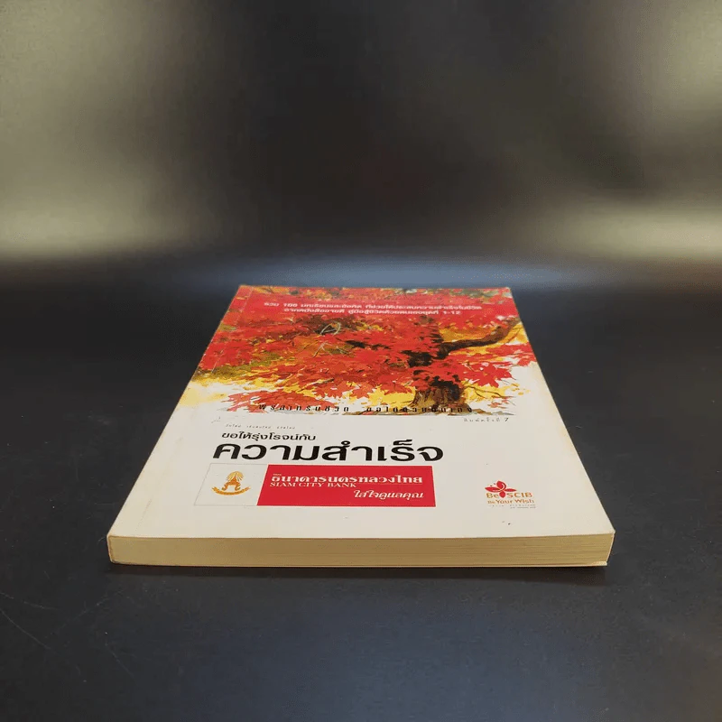 ขอให้รุ่งโรจน์กับความสำเร็จ - เบญญาวัธน์ รูปที่ 4