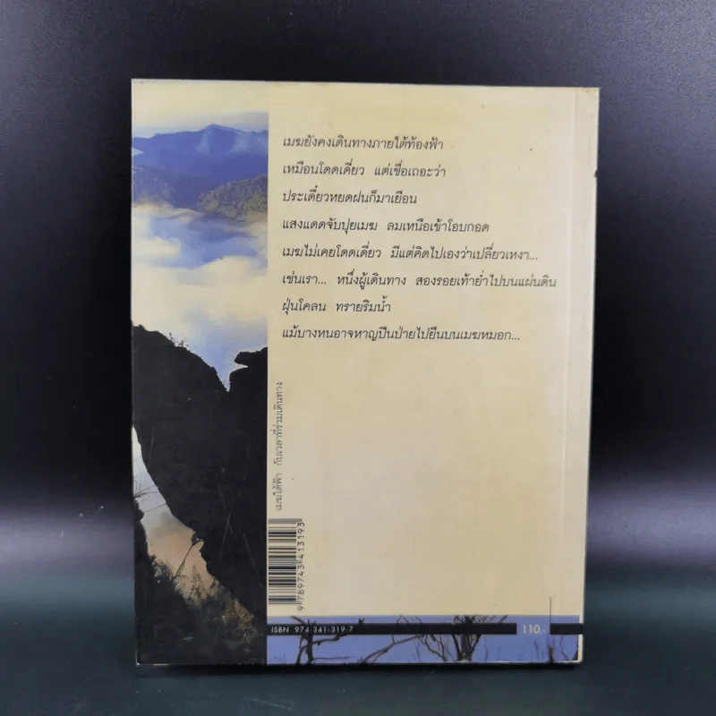 เมฆใต้ฟ้ากับเวลาที่ร่วมเดินทาง - ศรัทธา ลาภวัฒนเจริญ รูปที่ 2