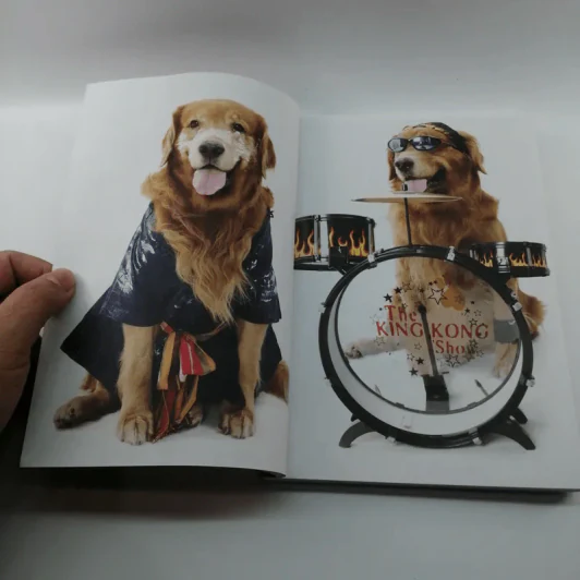 ผมชื่อคิงคองคร้าบ เล่มพิเศษ ตอน คิงคองปาร์ตี้ รูปที่ 7