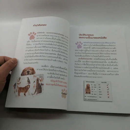 ผมชื่อคิงคองคร้าบ เล่มพิเศษ ตอน คิงคองปาร์ตี้ รูปที่ 11