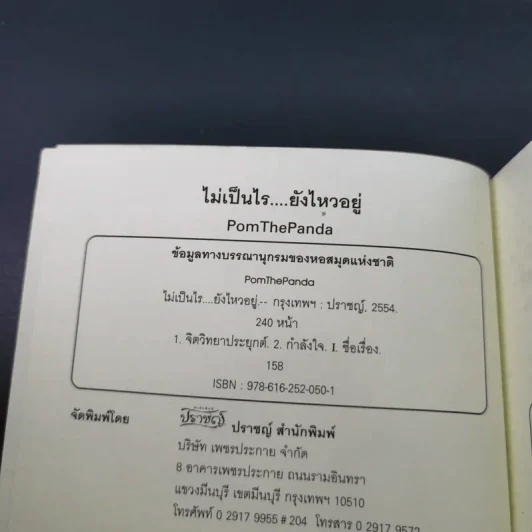 ไม่เป็นไรยังไหวอยู่ - PomThePanda รูปที่ 8