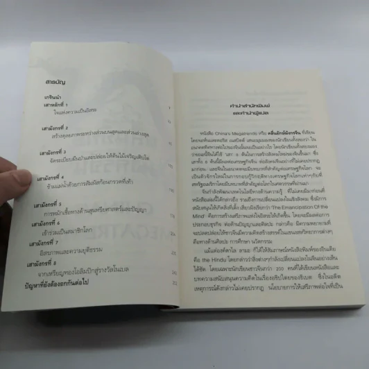 คลื่นยักษ์มังกรจีน เสา 8 หลักต่อสังคมจีนใหม่ - สมพงษ์ สุวรรณจิตกุล รูปที่ 8