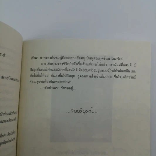 เด็กชายขี้เหงากับตูบตุ๊กตา - เก็น กวี รูปที่ 11