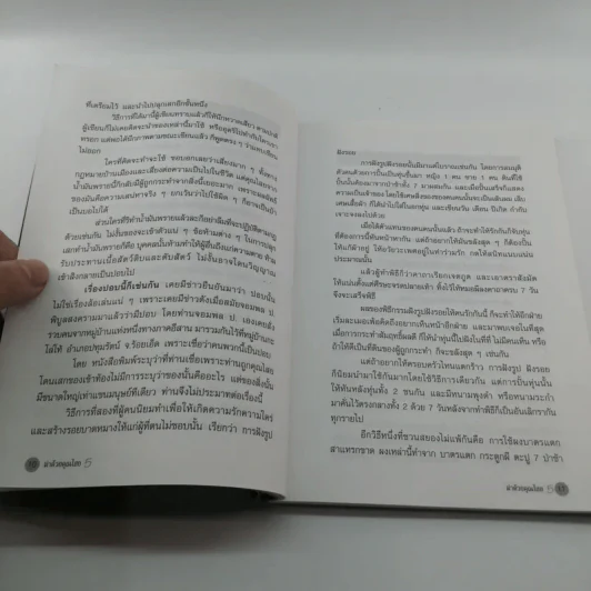 ฆ่าด้วยคุณไสย 5 - ราช รามัญ รูปที่ 11