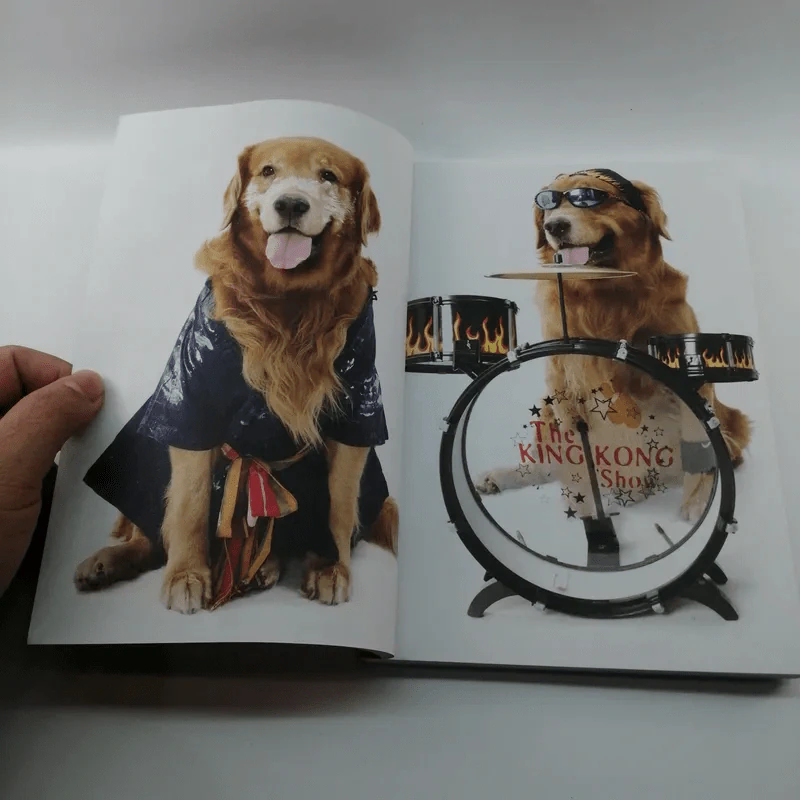 ผมชื่อคิงคองคร้าบ เล่มพิเศษ ตอน คิงคองปาร์ตี้ รูปที่ 7