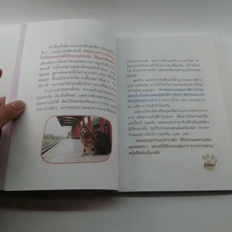 ผมชื่อคิงคองคร้าบ เล่มพิเศษ ตอน คิงคองปาร์ตี้ รูปที่ 14