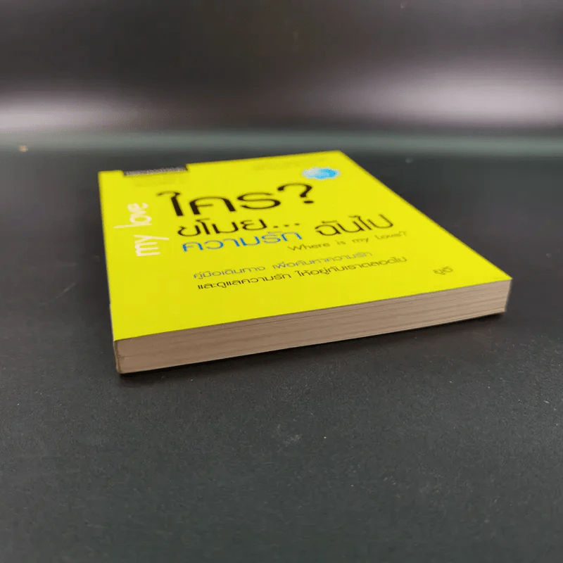 ใครขโมย? ความรักฉันไป Where is my Love? รูปที่ 4