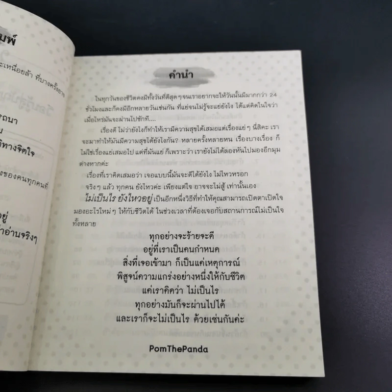 ไม่เป็นไรยังไหวอยู่ - PomThePanda รูปที่ 10