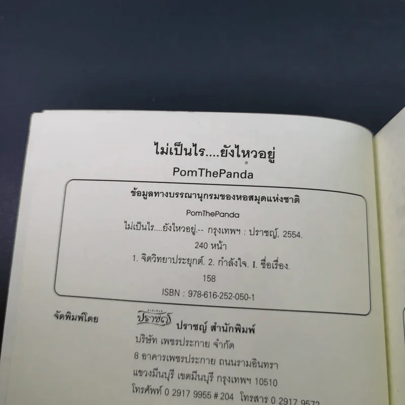 ไม่เป็นไรยังไหวอยู่ - PomThePanda รูปที่ 8