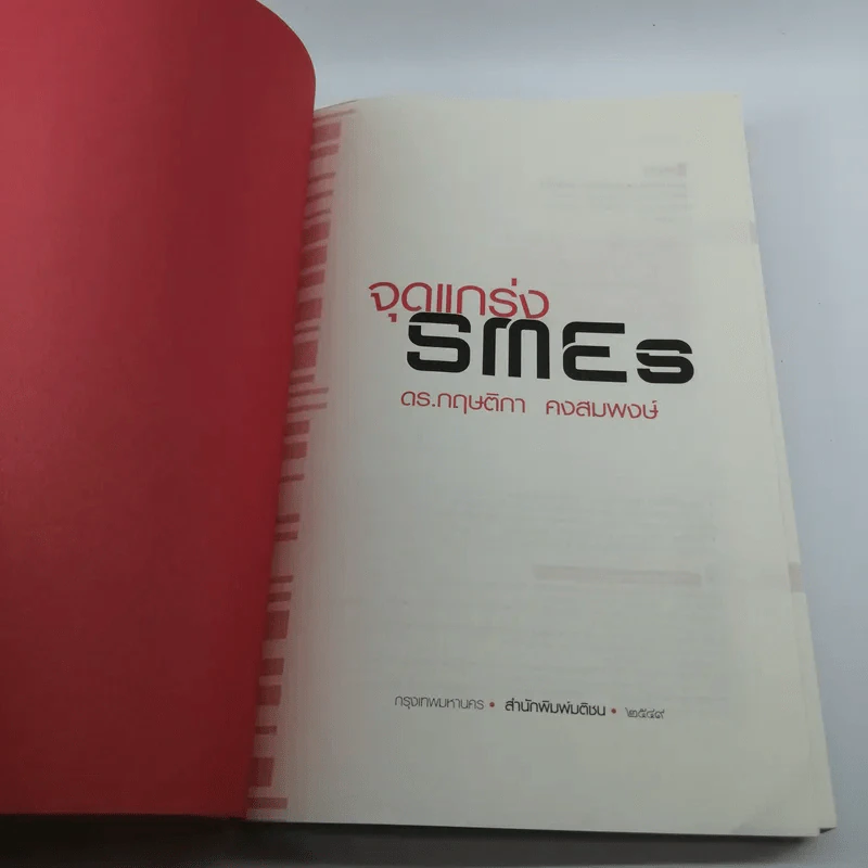 จุดแกร่ง SMEs - ดร.กฤษติกา คงสมพงษ์ รูปที่ 6