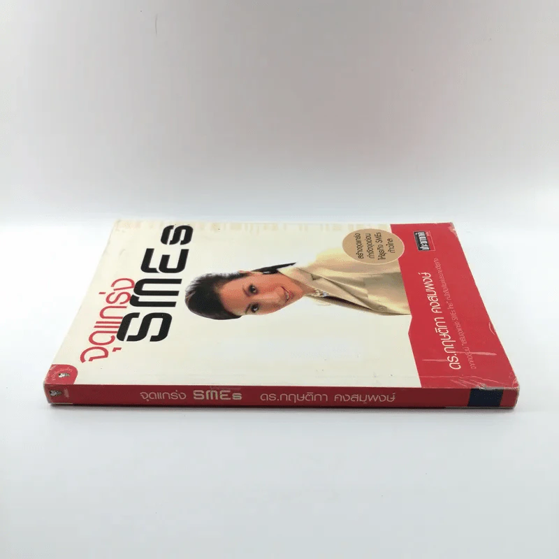 จุดแกร่ง SMEs - ดร.กฤษติกา คงสมพงษ์ รูปที่ 2