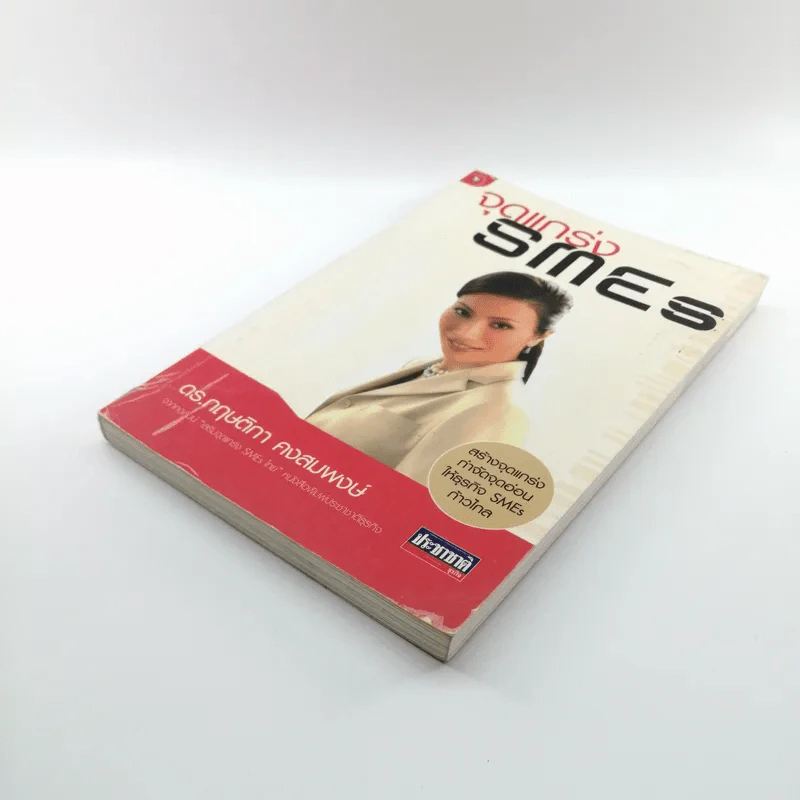 จุดแกร่ง SMEs - ดร.กฤษติกา คงสมพงษ์ รูปที่ 4