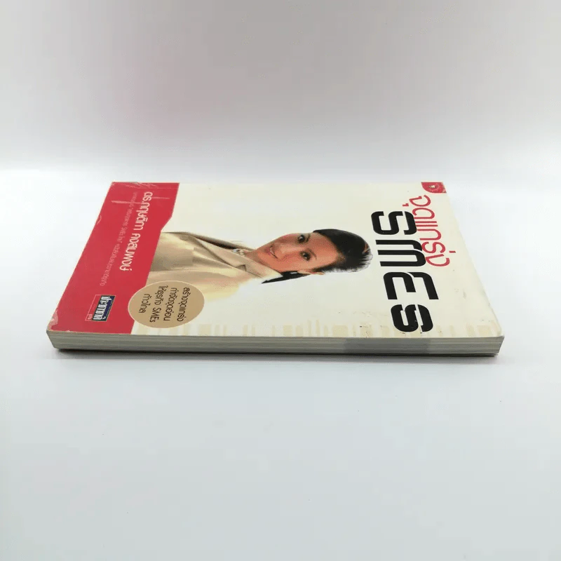 จุดแกร่ง SMEs - ดร.กฤษติกา คงสมพงษ์ รูปที่ 3