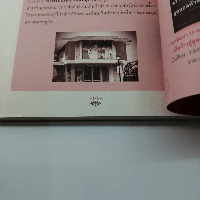 ธุรกิจส่วนตัว เริ่มง่ายๆ คุณก็ทำได้ - กรภัทร์ สุทธิดารา รูปที่ 12