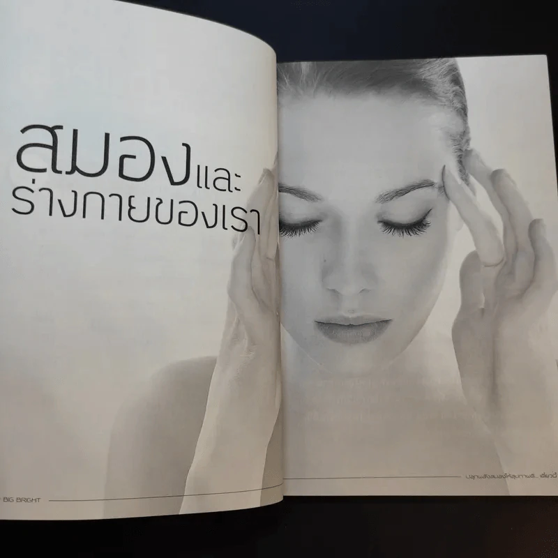 Big Bright ปลุกพลังสมองให้สุขภาพดีเดี๋ยวนี้ - ศจีรัตน์ พุฒเรืองศักดิ์ รูปที่ 12