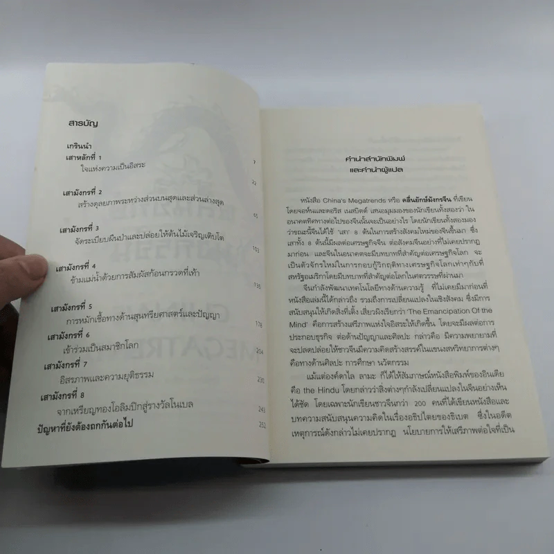 คลื่นยักษ์มังกรจีน เสา 8 หลักต่อสังคมจีนใหม่ - สมพงษ์ สุวรรณจิตกุล รูปที่ 8