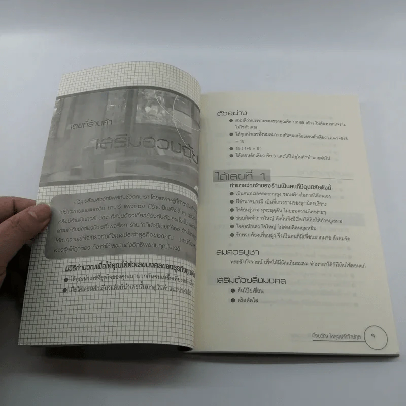 ค้าขายให้ร่ำรวยด้วยเคล็ดมงคล - มิ่งขวัญ ไพฑูรย์พิทักษ์กุล รูปที่ 8