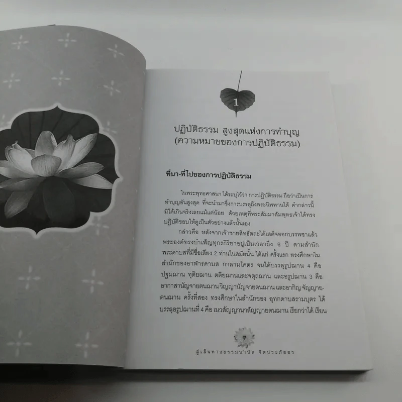 เส้นทางธรรมบำบัดจิตประภัสสร - นภัสรา รูปที่ 9